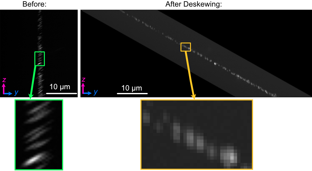 Difference between an image set of 100 nm bead before deskewing (left) and after (right)