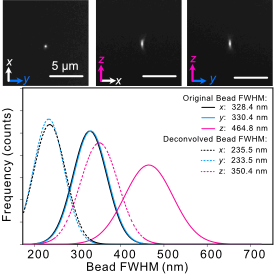 Analysis of the PSF of 100 nm beads in each direction