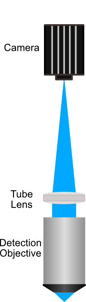 Detection Path of our System