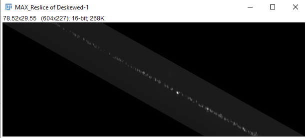 The YZ projection of our bead images after reslicing.