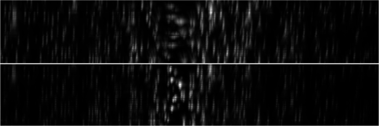 Before and after of adjusting in Z-projections after adjusting the correction collar