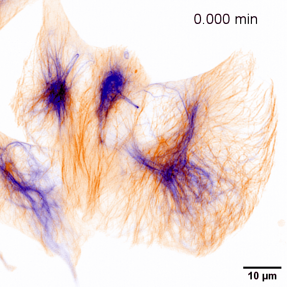 Assembly and Setting of the temperature controllers