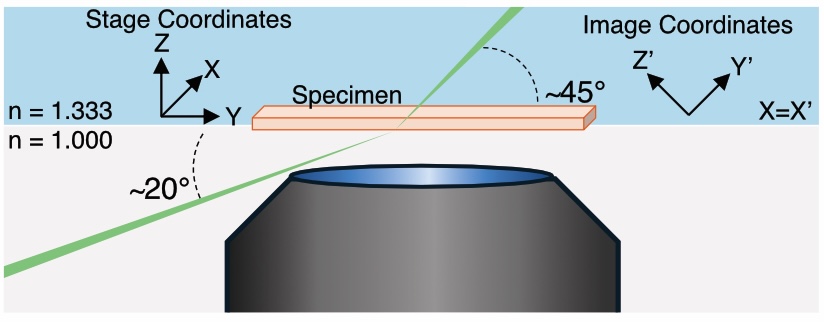 Schematic of the Altair DV-OPM system.
