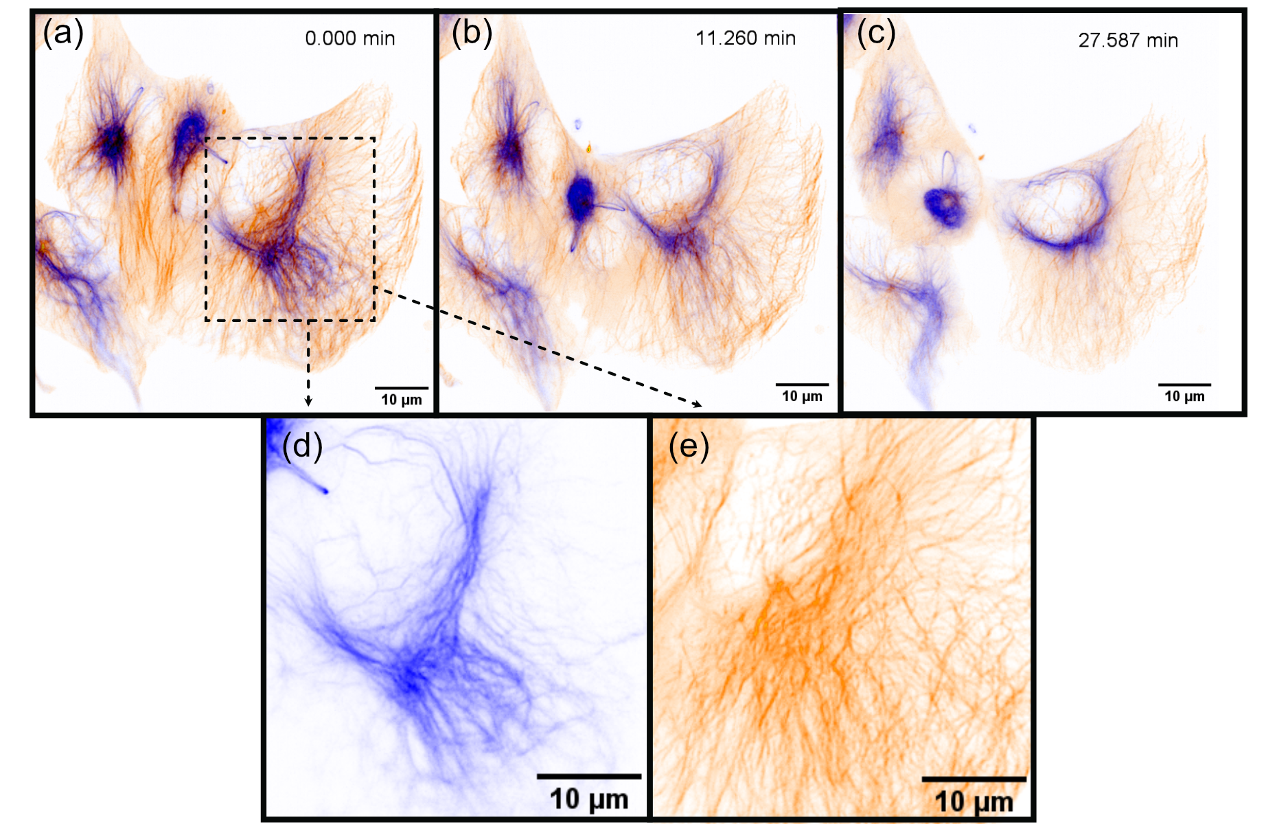Assembly and Setting of the temperature controllers