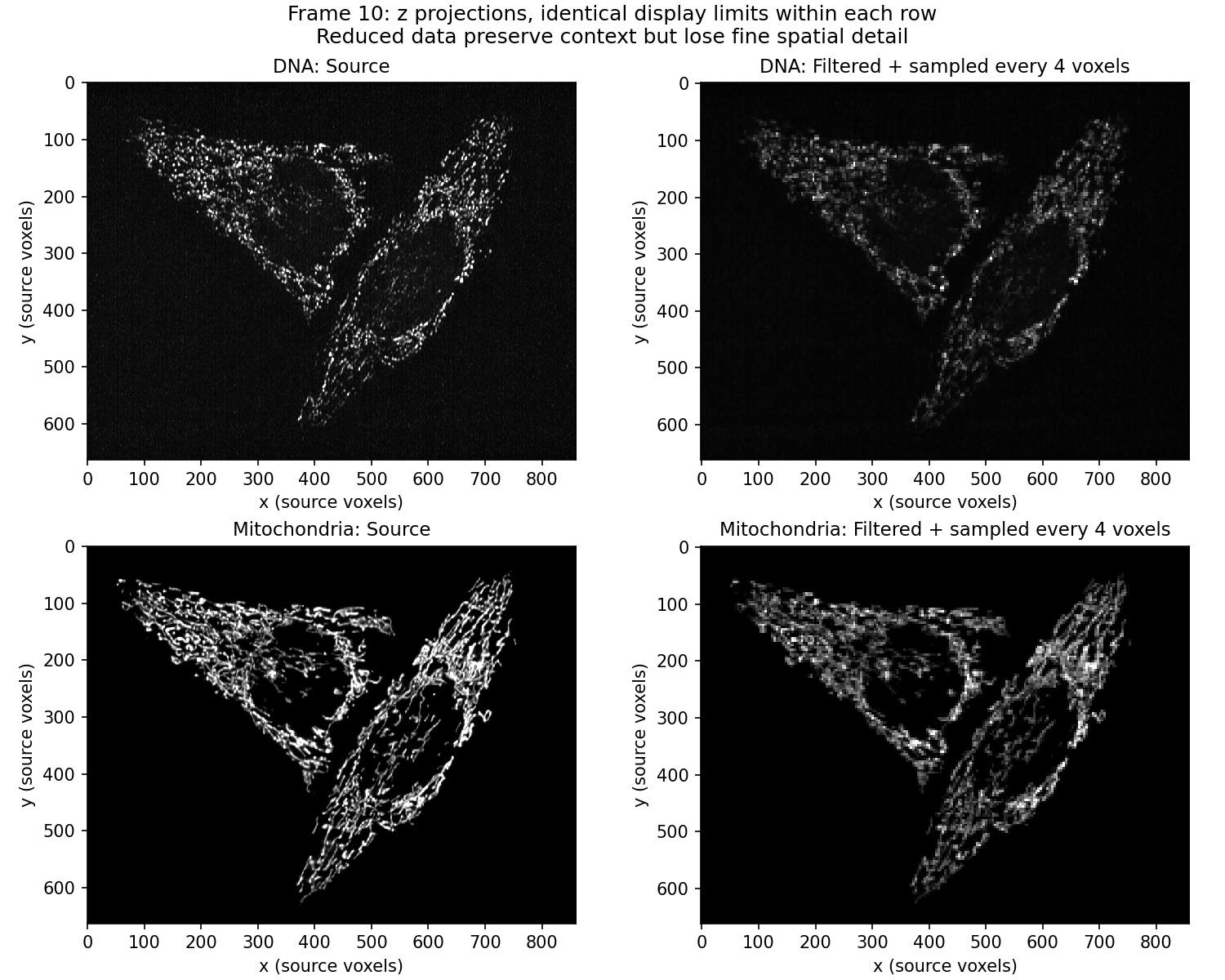 Source and factor-4 projections with matched contrast limits