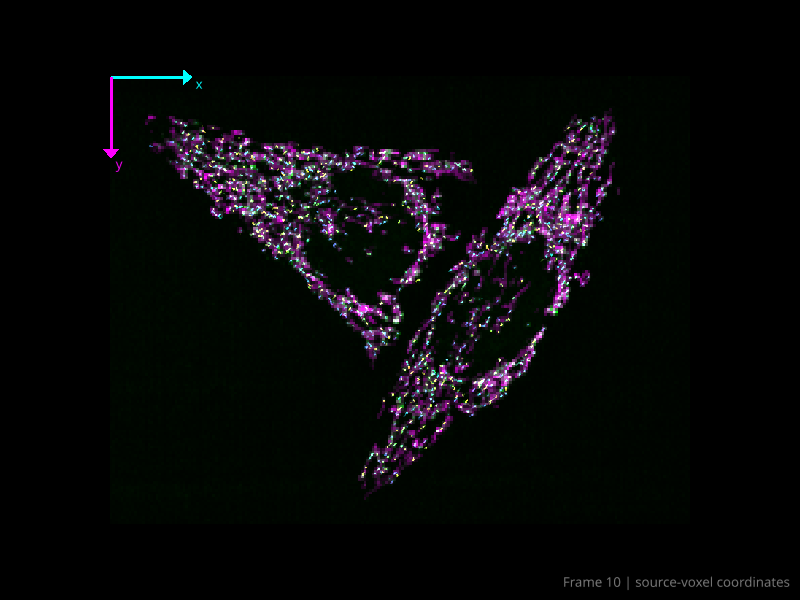 Projection with detections and tracks