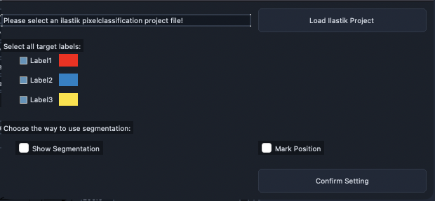 Ilastik Settings popup.