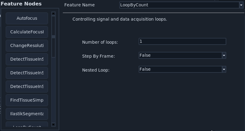 LoopByCount parameters in the feature editor.